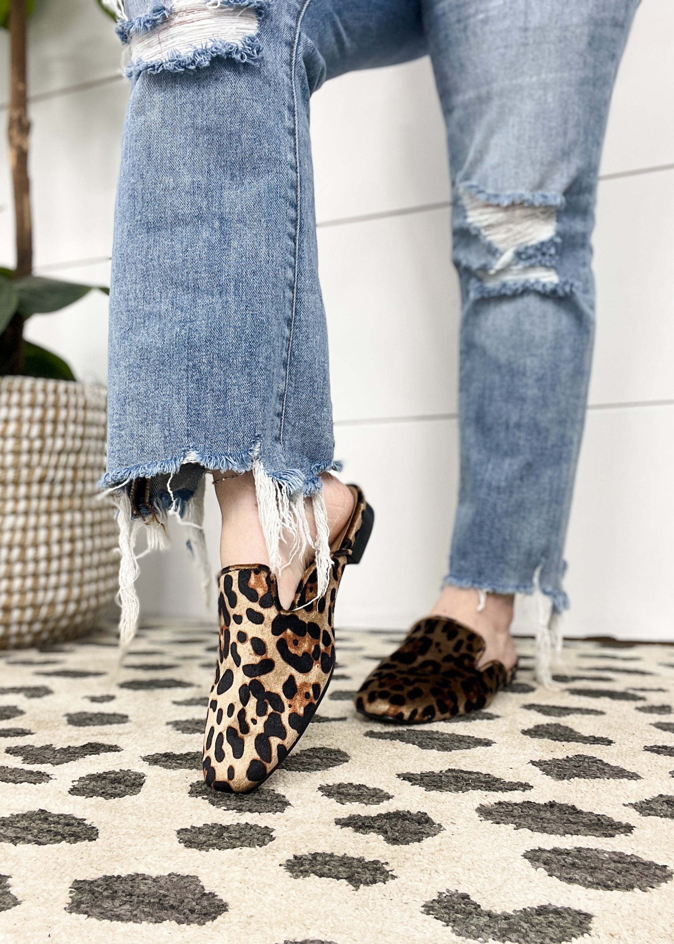Leopard anothet mule shoes