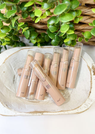 Amuse Beyond Perfecting Concealer