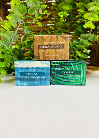Greenwich Bay Elements Soap For Men - Mini Bars
