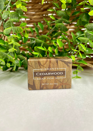 Greenwich Bay Elements Soap For Men - Mini Bars
