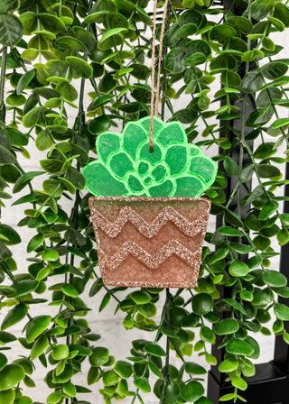 Succulent Car Freshie - Dragon Berry